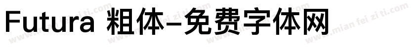 Futura 粗体字体转换